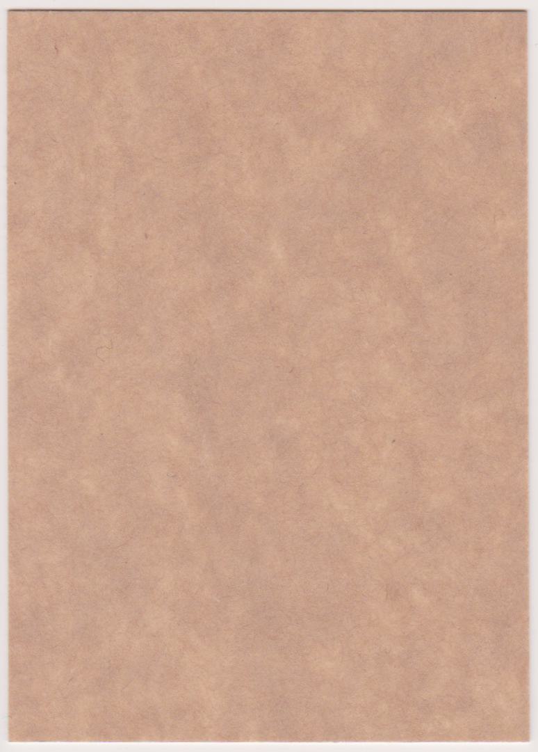 (image for) 2023-24 O-Pee-Chee Retro Blank Back #43 John Gibson