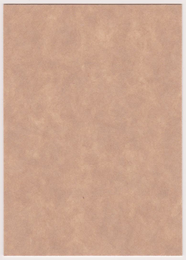 (image for) 2023-24 O-Pee-Chee Retro Blank Back #463 Mathieu Joseph