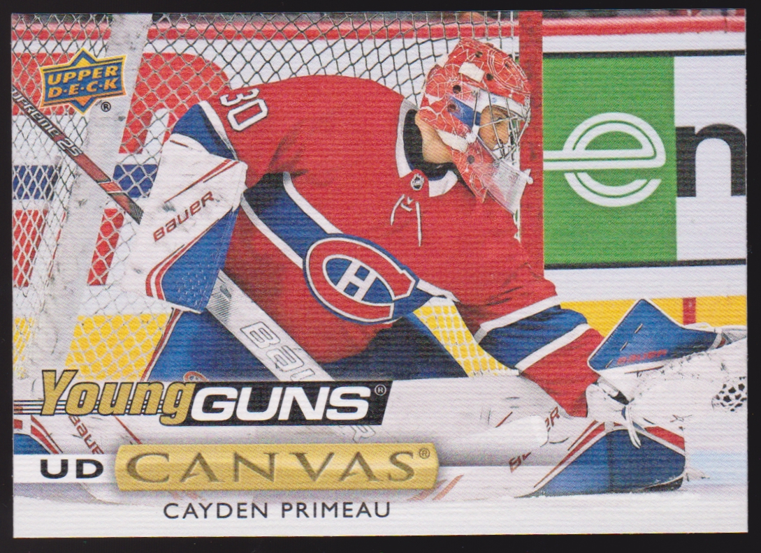 (image for) 2019-20 Upper Deck Canvas #C213 Cayden Primeau YG